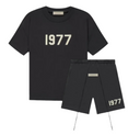 ESSENS 1977 IRON SUMMER SET